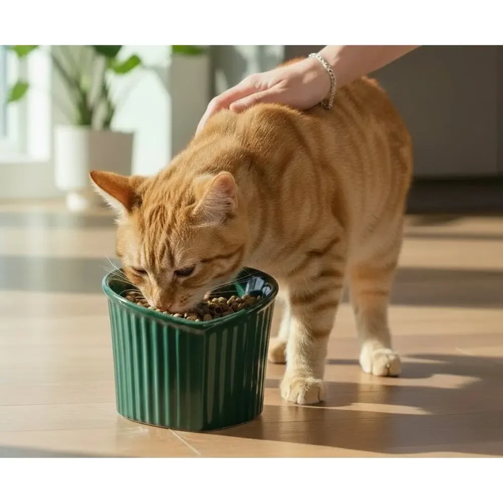 Elevated Tilted Ceramic Pet Bowl Dark Green Heart Raised Food Water Dish